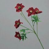 Hoa lụa Hải quỳ cánh nhọn 5b - HOG0048