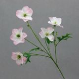 Hoa lụa Hải quỳ cánh nhọn 5b - HOG0048