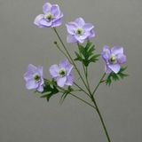 Hoa lụa Hải quỳ cánh nhọn 5b - HOG0048