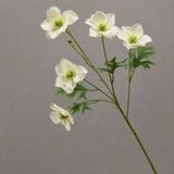 Hoa lụa Hải quỳ cánh nhọn 5b - HOG0048