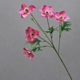 Hoa lụa Hải quỳ cánh nhọn 5b - HOG0048