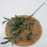 Cành lá Oliu 6 nhánh - LAG0001