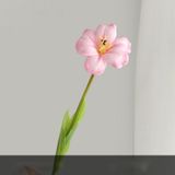 Tulip xốp cao cấp - HOG0042