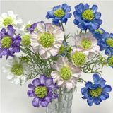 Hoa lụa Scabiosa - HOG0030