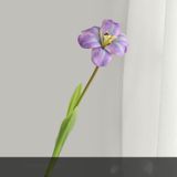 Tulip xốp cao cấp - HOG0042