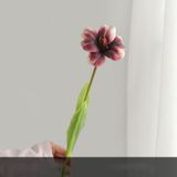 Tulip xốp cao cấp - HOG0042