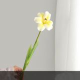 Tulip xốp cao cấp - HOG0042