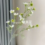 Hoa lụa Cúc sao 5n - HOG0026