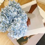 Hoa lụa Cẩm tú cầu đốm - HOG0024