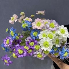 Hoa lụa Scabiosa - HOG0030