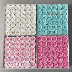 Hoa hồng sáp Sophia - HHS0023