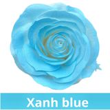 SƠN XỊT MÀU CHO HOA TƯƠI - PKK0045