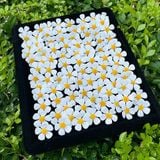 Hoa Violet xốp (gói 100 bông) - HOG0020