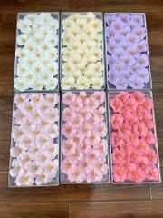 Hoa sáp Tulip (hộp 25 bông) ảnh shop tự chụp - HHS0018