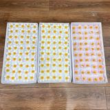 Hoa sáp Violet (hộp 50 bông) ảnh shop tự chụp - HHS0012