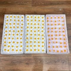 Hoa sáp Violet (hộp 50 bông) ảnh shop tự chụp - HHS0012