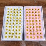 Hoa sáp Poppy (hộp 50 bông) ảnh shop chụp - HHS0019