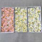 Hoa sáp Nguyệt quế LOẠI 2 (hộp 25 bông) - HHS0021