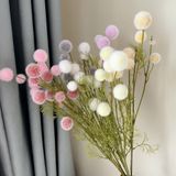 Cành Bồ công anh 9b - HOG0028