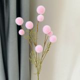 Cành Bồ công anh 9b - HOG0028