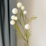 Cành Bồ công anh 9b - HOG0028