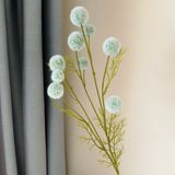 Cành Bồ công anh 9b - HOG0028