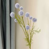 Cành Bồ công anh 9b - HOG0028