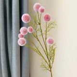 Cành Bồ công anh 9b - HOG0028