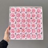 Hoa hồng sáp Sophia - HHS0023