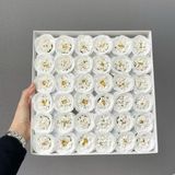 Hoa hồng sáp Sophia - HHS0023