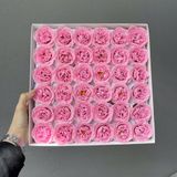 Hoa hồng sáp Sophia - HHS0023