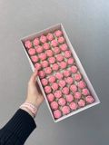Hoa sáp Hồng tỷ muội - HHS0025