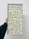 Hoa sáp Cẩm chướng xoăn - HHS0026