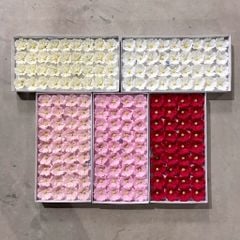 Hoa sáp Cúc bướm cánh cong - HHS0027