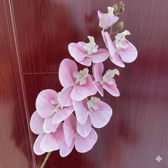 Hoa lan hồ điệp 9b cao su - HOG0043