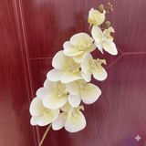 Hoa lan hồ điệp 9b cao su - HOG0043