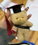 Gấu tốt nghiệp - PKK0143