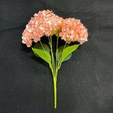 Cụm 5b Cẩm tú cầu - HOG0044