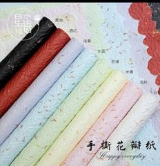  Giấy sần vân lá bay (1 tập 5 tờ) - GIA0147 