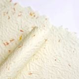 Giấy sần vân lá bay (1 tập 5 tờ) - GIA0147