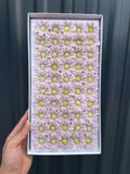 Hoa sáp Cúc nhí (hộp 50 bông) ảnh shop tự chụp - HHS0015