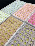 Hoa sáp Cúc nhí (hộp 50 bông) ảnh shop tự chụp - HHS0015