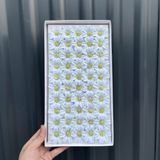 Hoa sáp Cúc nhí (hộp 50 bông) ảnh shop tự chụp - HHS0015