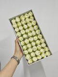 Hoa sáp Hồng tỷ muội - HHS0025