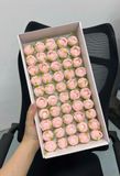 Hoa sáp Hồng tỷ muội - HHS0025
