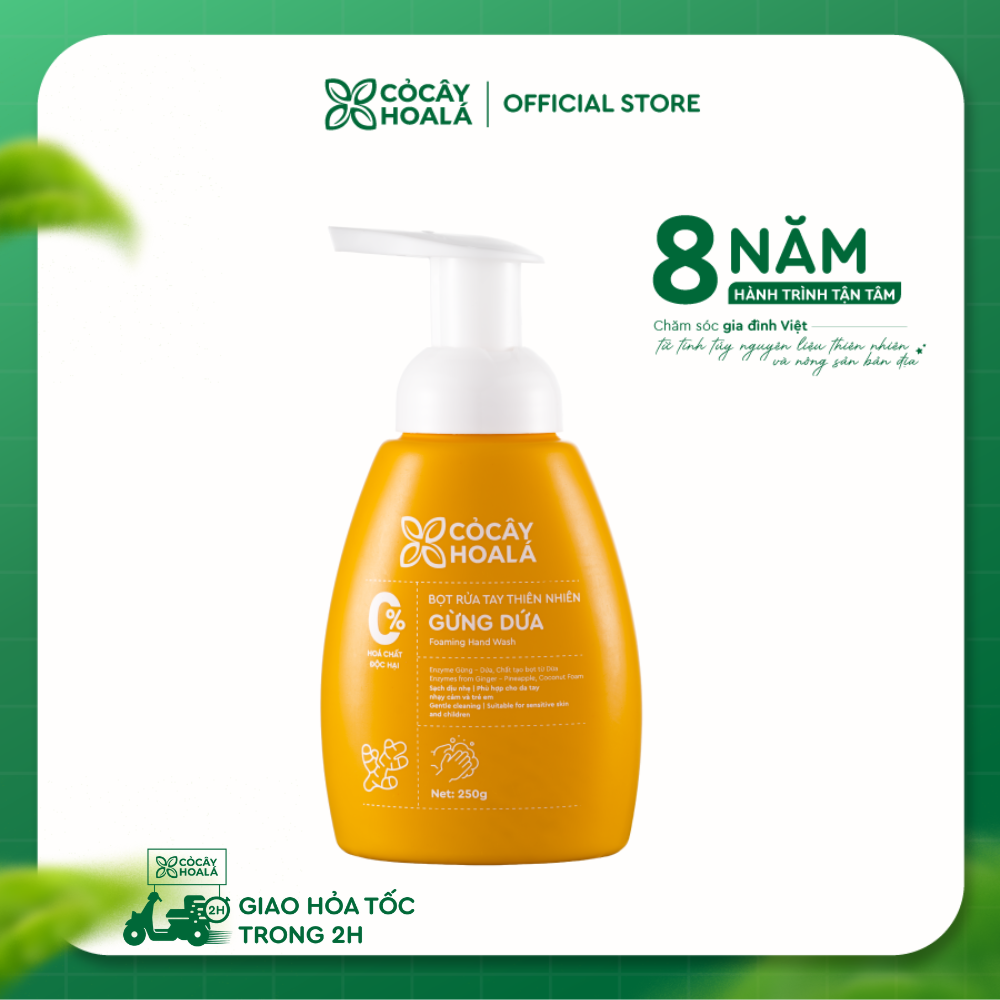 Bọt rửa tay thiên nhiên Gừng Dứa Cỏ Cây Hoa Lá 250g