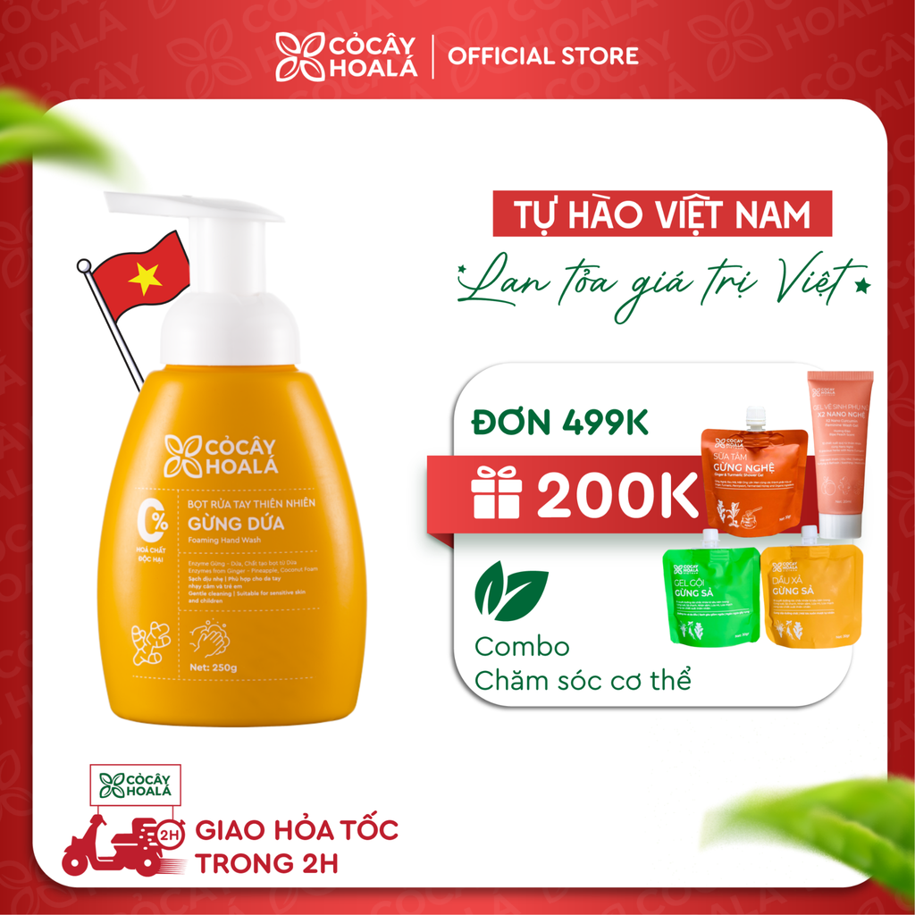 Bọt rửa tay thiên nhiên Gừng Dứa Cỏ Cây Hoa Lá 250g