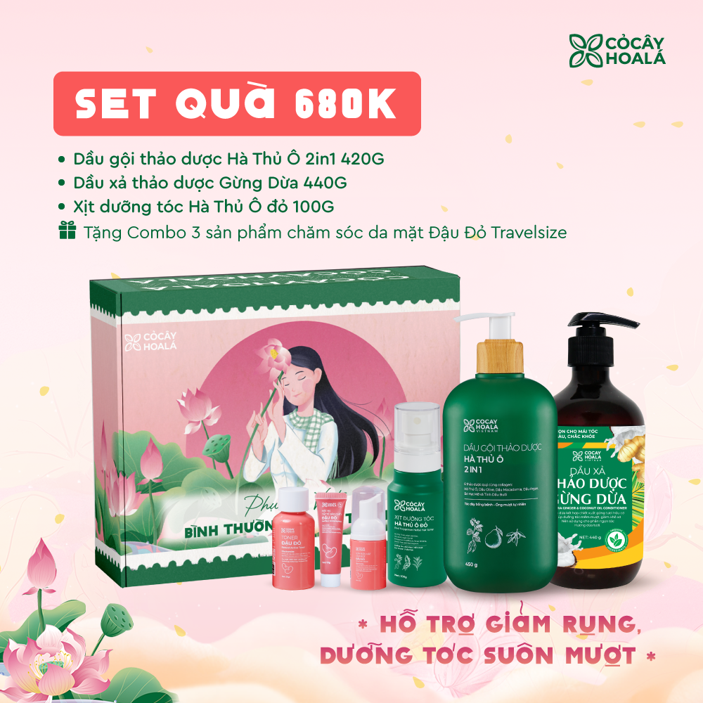 [SET 20/10] Set 3: Combo Dầu gội Hà Thủ Ô 2in1 + Xịt Hà Thủ Ô đỏ + Dầu xả Gừng Dừa 440g - Tặng Set mini Đậu Đỏ (Tẩy da chết + Sữa rửa mặt + Toner) - Hộp quà “Bình Thường Mà Phi Thường”