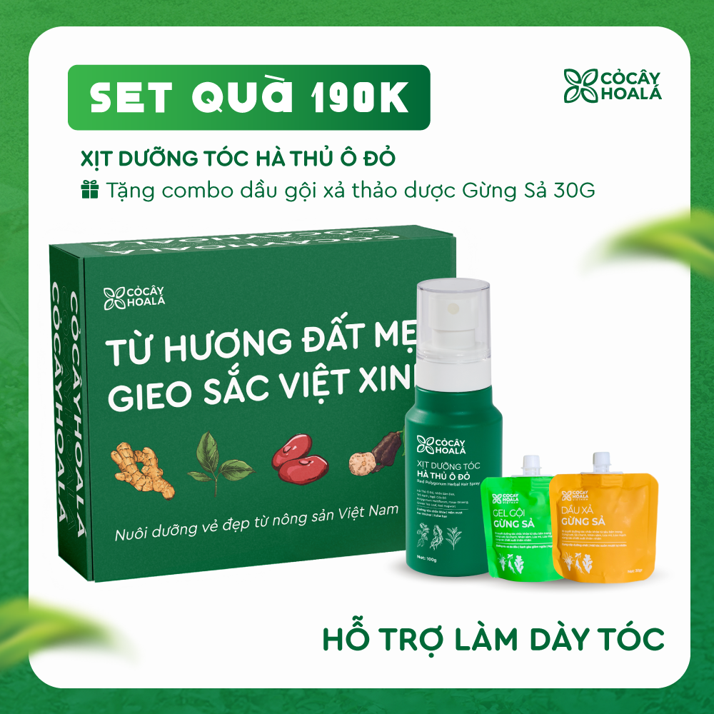 [SET 20/11] Set 1: Xịt tóc Hà Thủ Ô - Tặng cặp Gội Xả Gừng Sả 30g