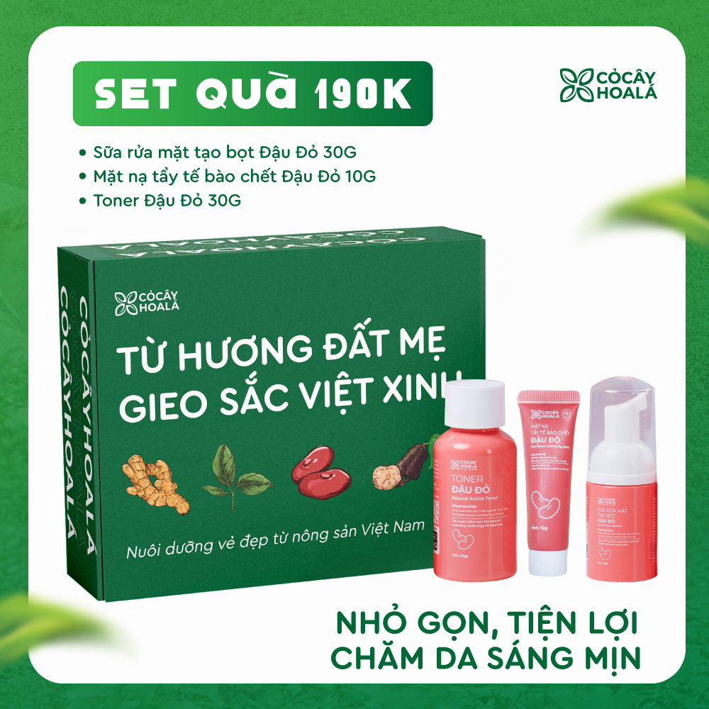 [SET QUÀ 190K] Set 4:  Combo dưỡng da (Sữa rửa mặt + Mặt nạ tẩy TBC + Toner Đậu đỏ)